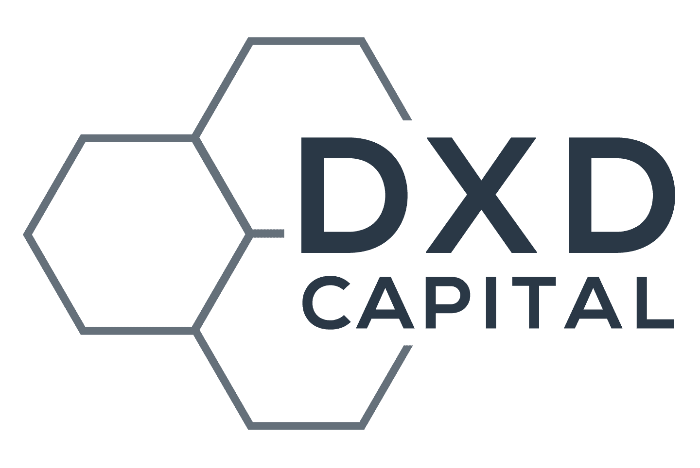 DXD Company Logo