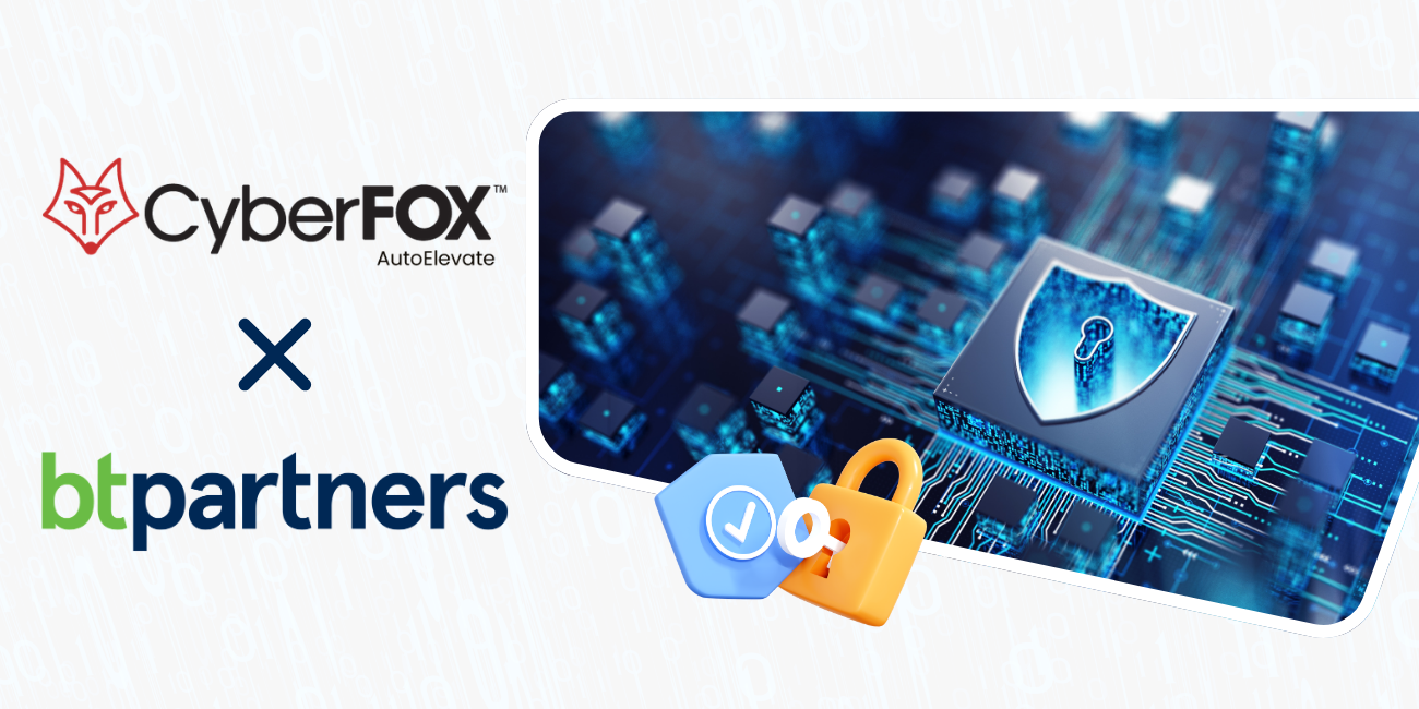 IT security services